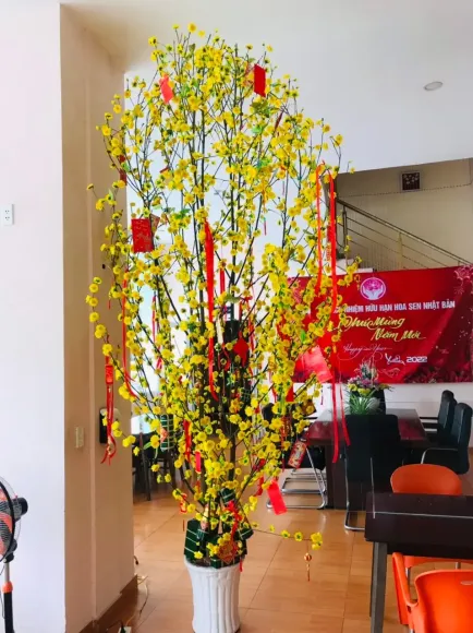 Tin tức